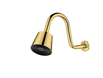 IXORA GOLD OH SHOWER HEAD