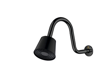 IXORA CP OH SHOWER HEAD